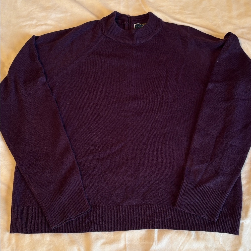 Karen Scott Women’s Petite Large Dark Purple Crewneck Sweater